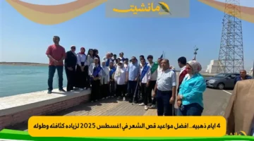 4 أيام ذهبية.. أفضل مواعيد قص الشعر في أغسطس 2025 لزيادة كثافته وطوله 1